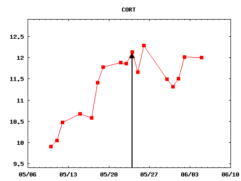 wed_170524_CORT.png
