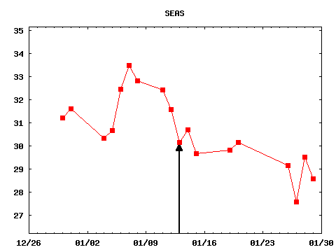 wed_210113_SEAS.png